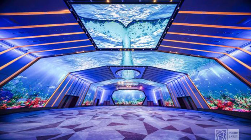 F6��¹��_�ٷ���վapp����