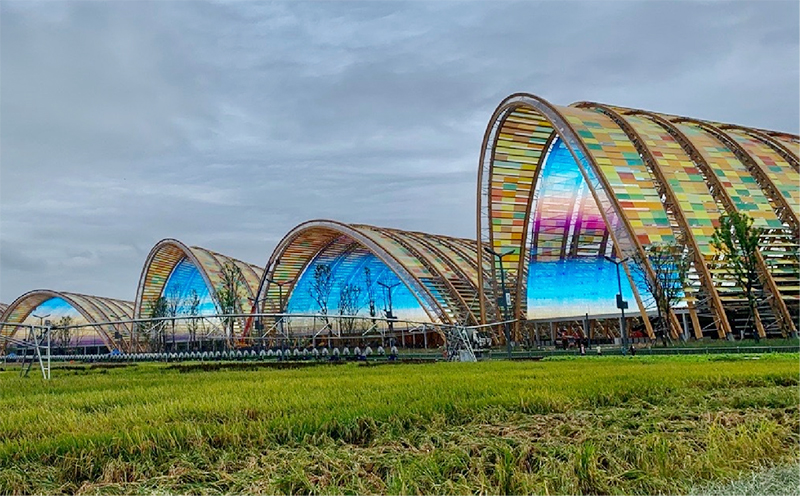 F6��¹��_�ٷ���վapp����